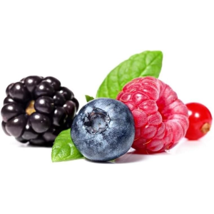 PRONUTRITION SKILL BAR (BOX DA 25x50G) GUSTO FRUTTI DI BOSCO