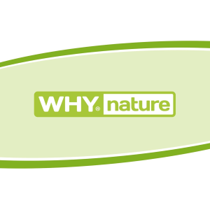 WHYNATURE BUONISSIMO (BOX DA 30x30G) BARRETTA RIPIENA E RICOPERTA AL COCCO
