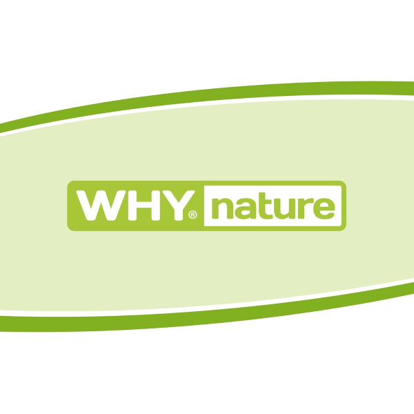 WHYNATURE BUONISSIMO (BOX DA 30x30G) BARRETTA RIPIENA E RICOPERTA AL COCCO