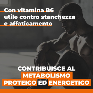 ETHICSPORT RAMTECH  - AMINOACIDI RAMIFICATI 2:1:1