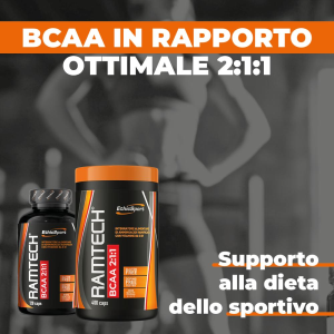  ETHICSPORT RAMTECH DA 400 CPS 2:1:1 CON VIT B1 e B6