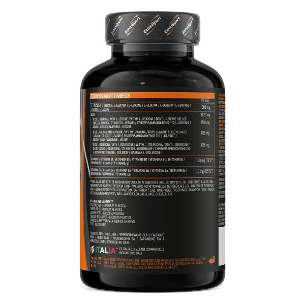 ETHICSPORT RAMTECH BCAA 4:1:1 - AMINOACIDI CON VIT. B1 e B6