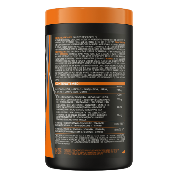 ETHICSPORT RAMTECH BCAA 4:1:1 DA 400 CPS CON VITAMINA B1 e B6