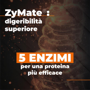 ETHICSPORT PROTEIN XTR 500 Gr CON AnabolicMix™ e ZyMate®