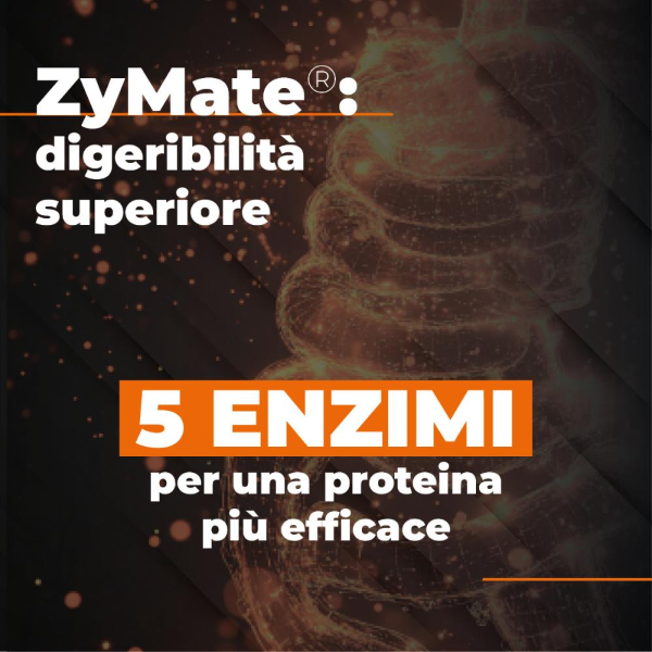 ETHICSPORT PROTEIN XTR 500 Gr CON AnabolicMix™ e ZyMate®
