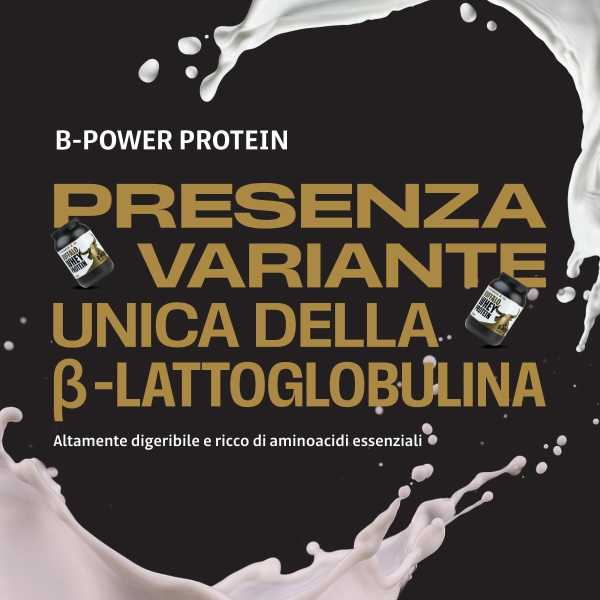 B-POWER BUFFALO WHEY PROTEIN IN BUSTINA DA 36 Gr PURO