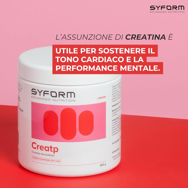 SYFORM CREATP - CREATINA MONOIDRATO CREAPURE