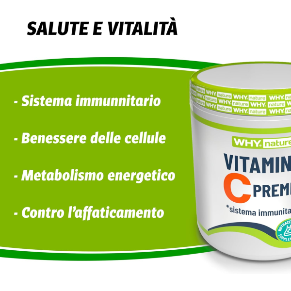 WHYNATURE VITAMINA C PREMIX DA 260 Gr ARANCIA 