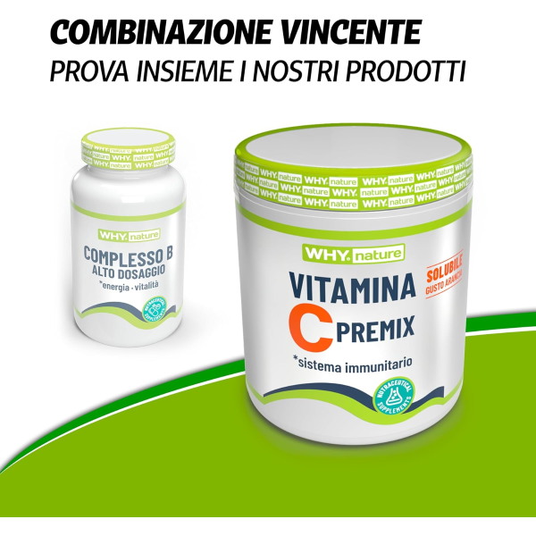 WHYNATURE VITAMINA C PREMIX DA 260 Gr ARANCIA 