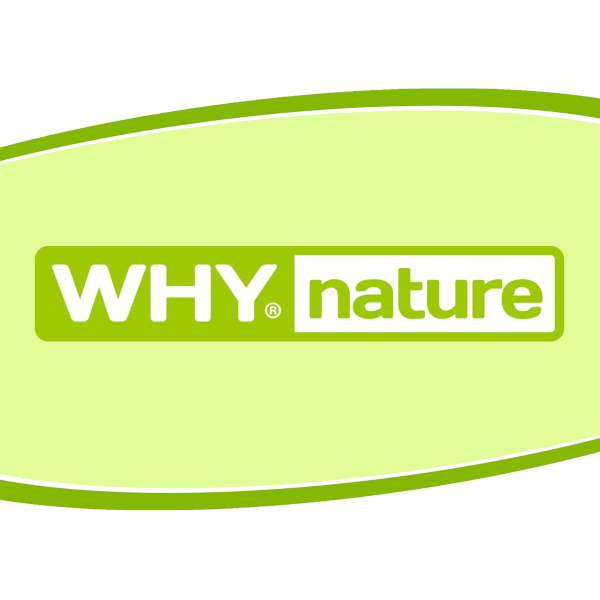 WHYNATURE VITAMINA C PREMIX DA 260 Gr ARANCIA 